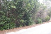 Undeveloped Land in Sumter County, South Carolina