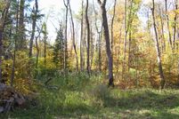 Undeveloped Land in Beltrami County, Minnesota