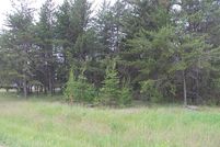 Undeveloped Land in Beltrami County, Minnesota