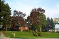 Homesite in Westmoreland County, Pennsylvania