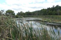 Undeveloped Land in Jay County, Indiana
