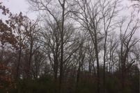 Land in Fannin County, Texas