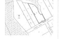 Undeveloped Land in Chatham County, Georgia