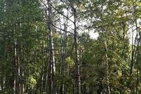 Homesite in Fairbanks North Star Borough, Alaska