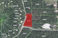 Undeveloped Land in Alachua County, Florida