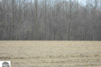 Undeveloped Land in Gratiot County, Michigan