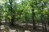 Undeveloped Land in Logan County, Arkansas