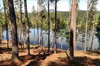 Undeveloped Land in Union County, Georgia