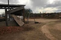 Farm and Ranch in Maricopa County, Arizona