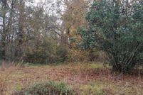 Undeveloped Land in Sumter County, South Carolina