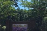 Undeveloped Land in Clarendon County, South Carolina