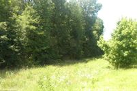 Undeveloped Land in Fauquier County, Virginia