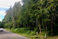Undeveloped Land in Whatcom County, Washington