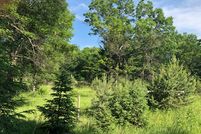 Undeveloped Land in Mecosta County, Michigan