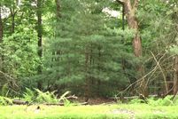Undeveloped Land in Monroe County, Pennsylvania