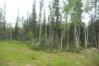 Undeveloped Land in Fairbanks North Star Borough, Alaska