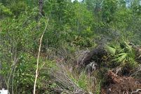 Farm and Ranch in Lake County, Florida