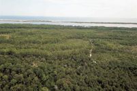 Undeveloped Land in Baldwin County, Alabama