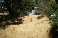 Undeveloped Land in Calaveras County, California
