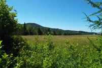 Land in Caledonia County, Vermont