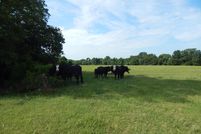 Undeveloped Land in Fannin County, Texas