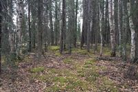 Land in Matanuska-Susitna Borough, Alaska