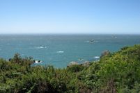Undeveloped Land in Curry County, Oregon