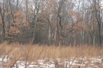 Undeveloped Land in Green Lake County, Wisconsin