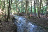 Recreational Property in Allegany County, New York