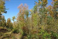 Land in Baraga County, Michigan