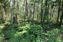 Undeveloped Land in Bledsoe County, Tennessee