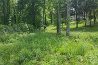 Undeveloped Land in Wood County, Texas
