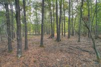 Undeveloped Land in Little River County, Arkansas