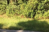 Undeveloped Land in Montgomery County, Texas