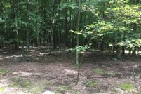 Undeveloped Land in Luzerne County, Pennsylvania