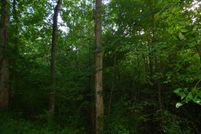 Undeveloped Land in Cumberland County, Virginia