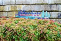 Undeveloped Land in Lyon County, Kentucky