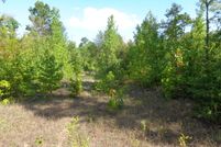 Undeveloped Land in Marion County, Texas