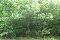 Undeveloped Land in Prince Edward County, Virginia