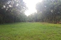 Undeveloped Land in Alachua County, Florida