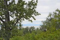 Undeveloped Land in Kenai Peninsula Borough, Alaska