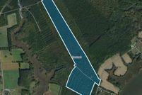 Timberland Property in Wicomico County, Maryland