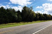 Undeveloped Land in Fannin County, Texas