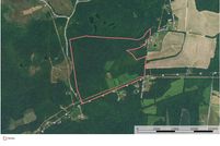 Timberland Property in Butler County, Kentucky