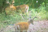 Land in Crawford County, Kansas