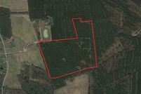 Undeveloped Land in Sussex County, Delaware