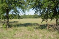 Timberland Property in Rains County, Texas