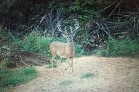 Oceanfront Property in Caddo County, Oklahoma