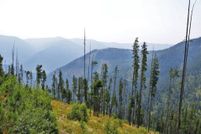 Land in Shoshone County, Idaho