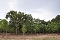 Land in Hopkins County, Texas